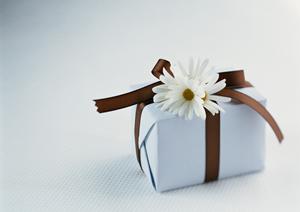中身が見えるOPP封筒の訴求力